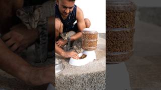 Automatic CatPet Food Feeder लेकर आया [upl. by Enisaj]