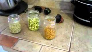 How to Grow Sprouts Sprouting seeds for good health Frugal Living VLOG [upl. by Eeralih515]