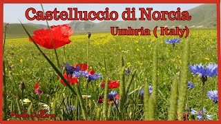 CASTELLUCCIO DI NORCIA  UMBRIA ITALY [upl. by Brandie]