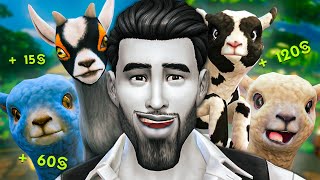 Devenir RICHE quavec des MINIMOUTONS 🐏 cest surprenant   CHALLENGE SIMS 4 [upl. by Vitalis]