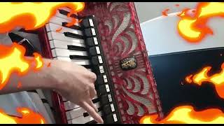 Alestorm  Keelhauled Accordion cover [upl. by Leunamesoj]