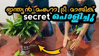 The Indian Mango Tree magic രഹസ്യം പൊളിഞ്ഞു  secret  ഇന്ത്യൻ മംഗോ ട്രീ മാജിക്‌ [upl. by Geminian]