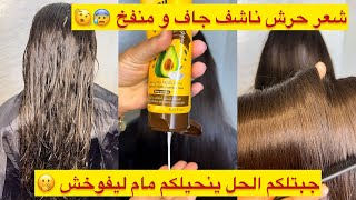 ضربة وحدة لليفوخش و شعر الناشف المطرطڤ⁉️ديريه في شعرك كُل ماتغسليه😎شعرك راح يتبدل وبلا ماتشليه 🤌🏻 [upl. by Holle574]