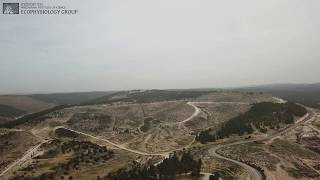 Introduction to Yatir forest on the edge of the Negev desert [upl. by Aldred]