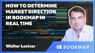 How to Determine Market Direction in Bookmap in Real Time  Walter Lesicar  Pro Trader Webinar [upl. by Llertak]