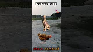 Tigers trending shorts short shortvideo shortsvideo shortsfeed shortsviral shortfeed fyp [upl. by Aikyt286]