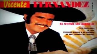 LOS MANDADOS  VICENTE FERNANDEZ [upl. by Neisa]