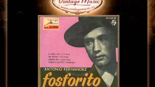 Fosforito  Todavía Yo La Quiero Fandangos VintageMusices [upl. by Frederigo]