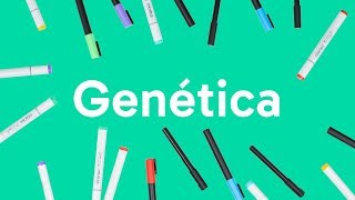 GENÉTICA LEIS DE MENDEL GENES DNA E CROMOSSOMOS  QUER QUE DESENHE [upl. by Matthew]