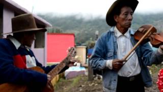 Musica Violinistas de Barillas Huehuetenango [upl. by Hartill]