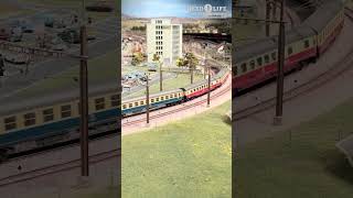 HO Scale Model Trains at The Railways Kaeserberg modelrailway modelrailroad modeltrainlayout [upl. by Georgiana]