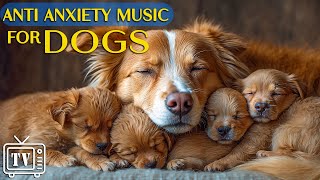 Dog TV amp Deep Sleep Music for Dogs Cure Separation Anxiety Music to Calm Dogs  Helped Sleep Dogs [upl. by Lemmueu]