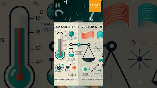 Scalar and vector quantity kya hai  scalar vector facts sciencefun [upl. by Island740]