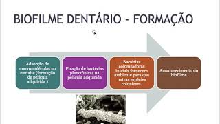 CARIOLOGIA PARTE 1 [upl. by Ekoorb]