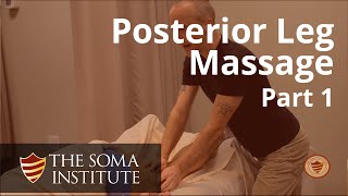 General Posterior Leg Protocol Beginning Massage Techniques Part 1 [upl. by Hammerskjold364]