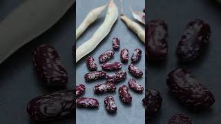 Heirloom BEANS heirloom seeds coolbeans [upl. by Pachston]