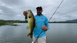 Topwater frogging flooded vegetation for bass  Inanda dam  South Africa [upl. by Frederich]