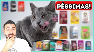 Rações Que Eu JAMAIS COMPRARIA Para Meus Gatos [upl. by Trumaine223]