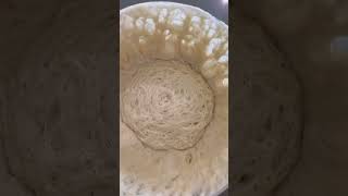 Active strong and healthy sourdough starter sourdoughstarter artisanbread sourdough [upl. by Eniamrehs]