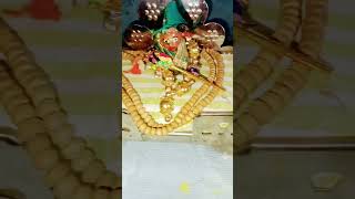 Nanhe gangaroo choota trending short video hare Krishna 🙏🙏🙏🙏 [upl. by Free]