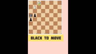 Chess endgame every player should know [upl. by Alcinia988]