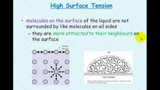 Water 23 Adhesion cohesion surface tension [upl. by Eanerb814]