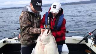 Pedder Bay Marina Fishing Report [upl. by Melcher622]