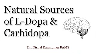 Natural Sources of LDopa and Carbidopa [upl. by Suoirtemed]