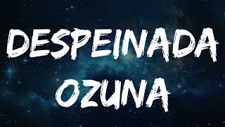 Ozuna  Despeinada ft Camilo LyricsLetra [upl. by Davidoff627]