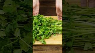 Como conservar el cilantro por mucho más tiempo fresco recetas [upl. by Nyraf986]