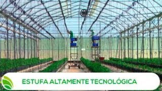 Multi Agro Estufa altamente tecnológica [upl. by Elleirb812]