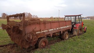 🔥ROZPOCZĘCIE SEZONU Z WTOPĄ🔥oporowy obornik🔥ursus c360 amp c4011 amp 1014🔥 [upl. by Drewett]