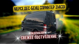 Mercedes Sprinter 314 CDI 143 лс Видеообзор автомобиля Мерседес Спринтер [upl. by Marquita670]