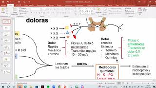 📚Clase 23 Parte III Fisiopatología del Dolor Dr Aguilar [upl. by Nyrrat808]