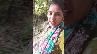 Pend paudhe aur chidiya👌👌👌👌👌 viral sort video [upl. by Courtney]