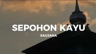 SEPOHON KAYU  SAUJANA [upl. by Ardnad]