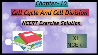 Chapter10 11th Biology NCERT Exercise Solution Cell cycle and cell division [upl. by Horlacher635]