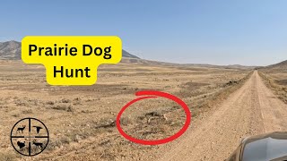 Plucking Prairie Dogs In Wyoming [upl. by Sergo]