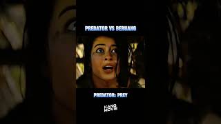 predator vs beruang movie alurfilm film [upl. by Khosrow]