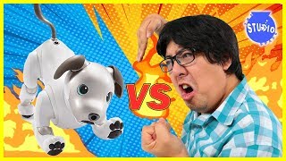 ROBO DOG AIBO VS RYANS DADDY  Who is the Better Robot Dog [upl. by Merrill]