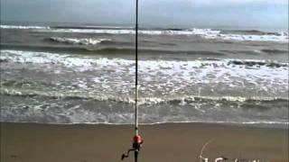 Dove lanciare lesca a surfcasting [upl. by Nymzaj]