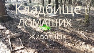 Кладбище домашних животных [upl. by Mraz]