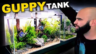 Medium Tech amp Budget Guppy Nature Aquarium Full Tutorial [upl. by Marleah783]