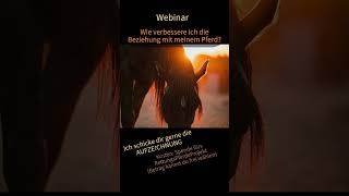 Webinar 🦄 Wie verbessere ich die Beziehung mit meinem Pferd pferdetraining beziehungpferdmensch [upl. by Beal]