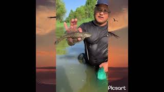 Pesca con tarraya en el Rio [upl. by Calysta]