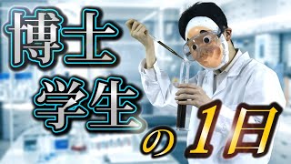 【最高学歴】理系最高峰の世界。「博士課程」に進学するとどうなるのか？ [upl. by Anitnelav]