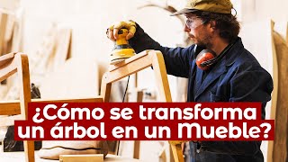 🌳 ¿Cómo se FABRICAN los MUEBLES  Conoce el PROCESO INDUSTRIAL de la MADERA [upl. by Hallam466]