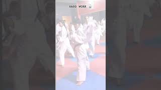 Karate seminar highlights 🥋🥋🥷🏻 karatepractice karateseminar kumitetechniques [upl. by Anivel]