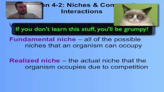 Chapter 4 Part 3  Niches [upl. by Ydorb]