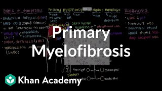 What is primary myelofibrosis  Hematologic System Diseases  NCLEXRN  Khan Academy [upl. by Mairam]